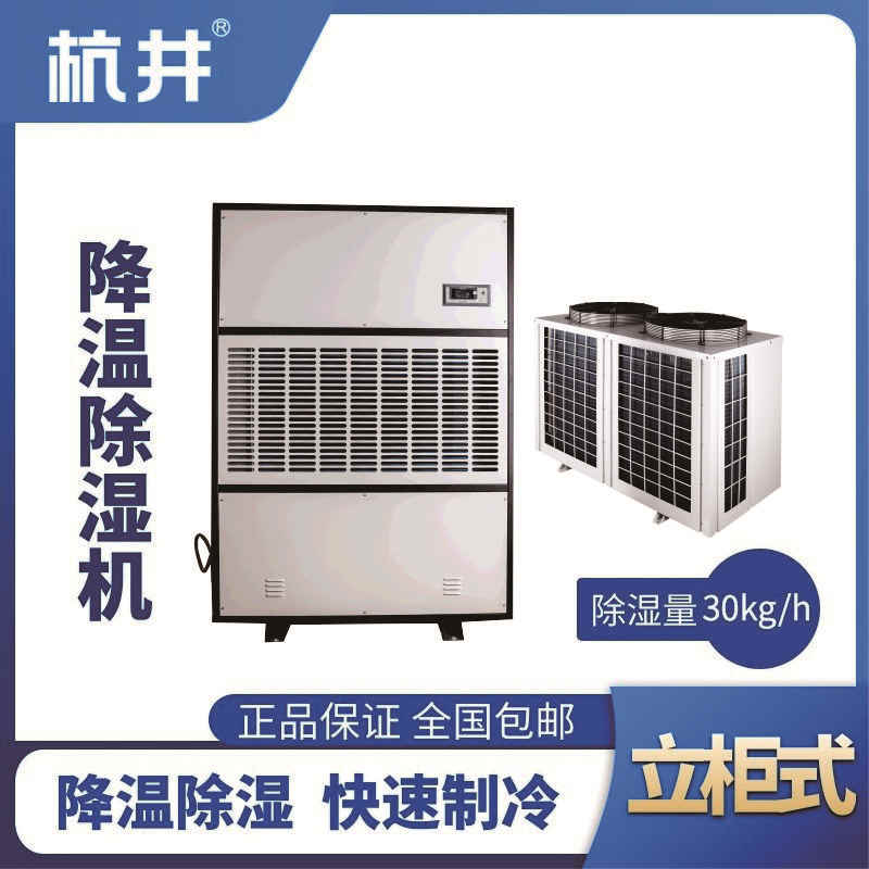 CFJZF30S風(fēng)冷調(diào)溫除濕空調(diào)機(jī)組